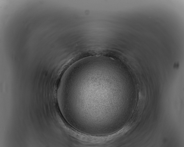 X0000089970048200707061209