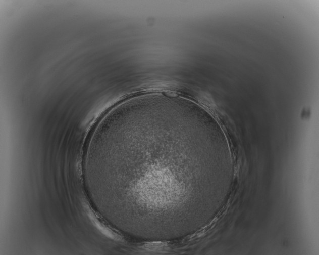 X0000089970050200707061209