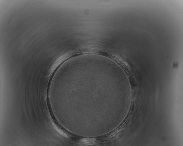 X0000089970051200707061209