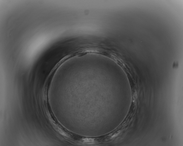 X0000089970052200707061209