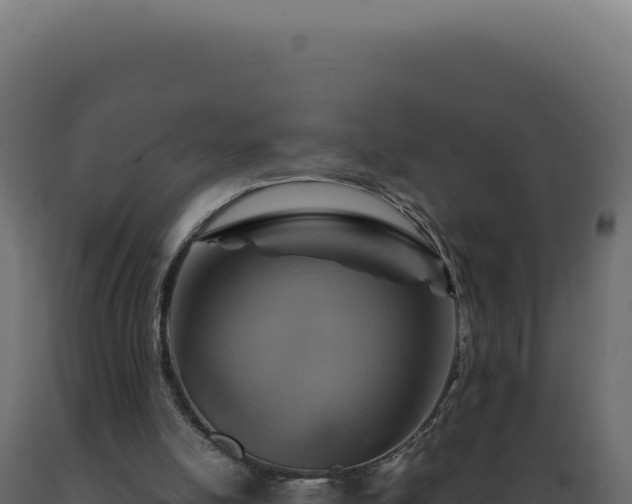 X0000089970054200707061209