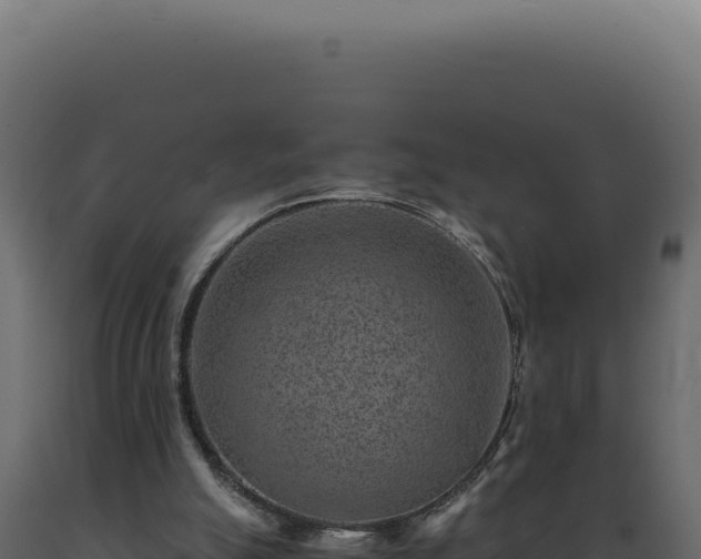 X0000089970055200707061209