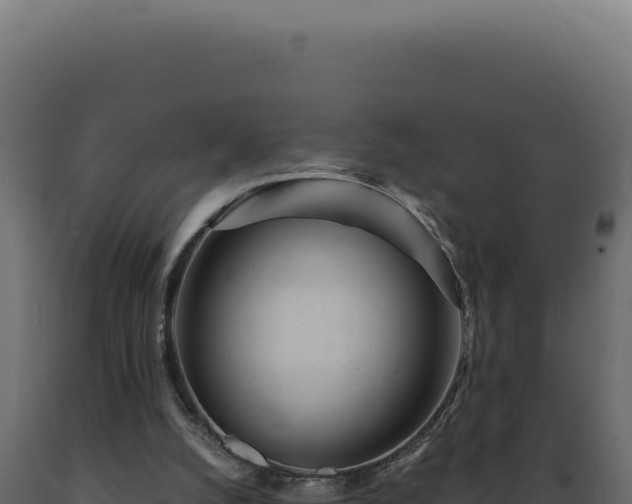 X0000089970056200707061209