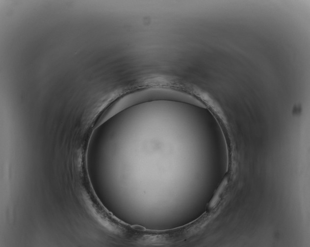 X0000089970057200707061209
