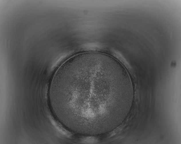 X0000089970058200707061209