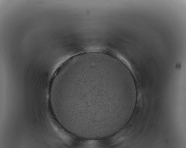 X0000089970059200707061209