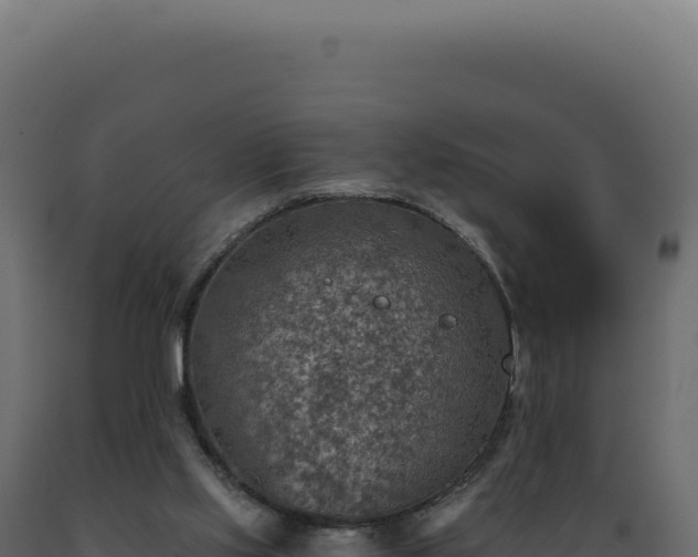 X0000089970061200707061209