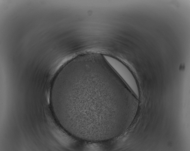 X0000089970062200707061209