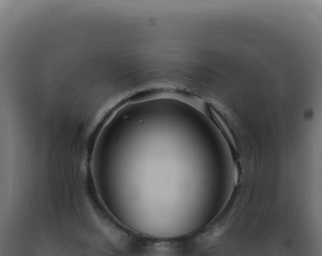 X0000089970064200707061209
