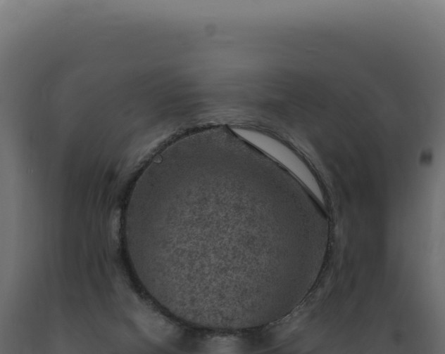 X0000089970066200707061209