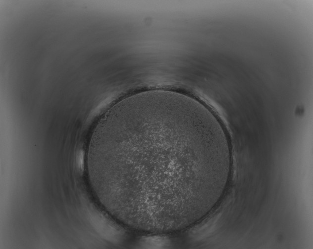 X0000089970067200707061209