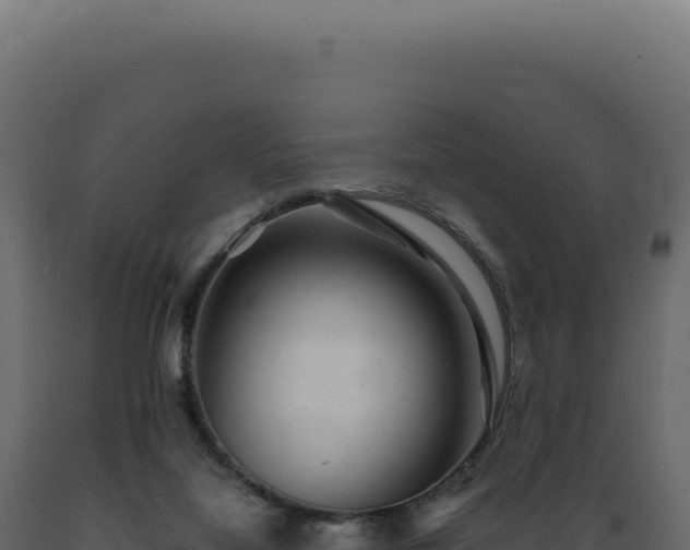X0000089970068200707061209