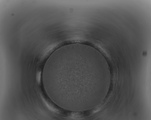 X0000089970070200707061209