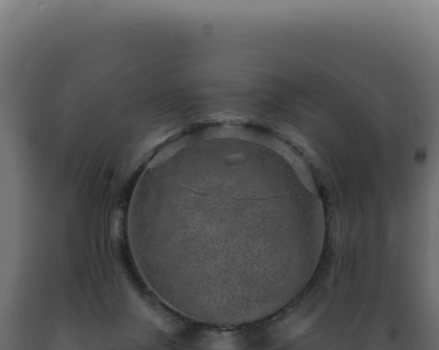 X0000089970071200707061209