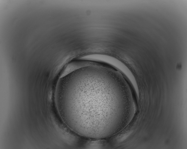 X0000089970072200707061209