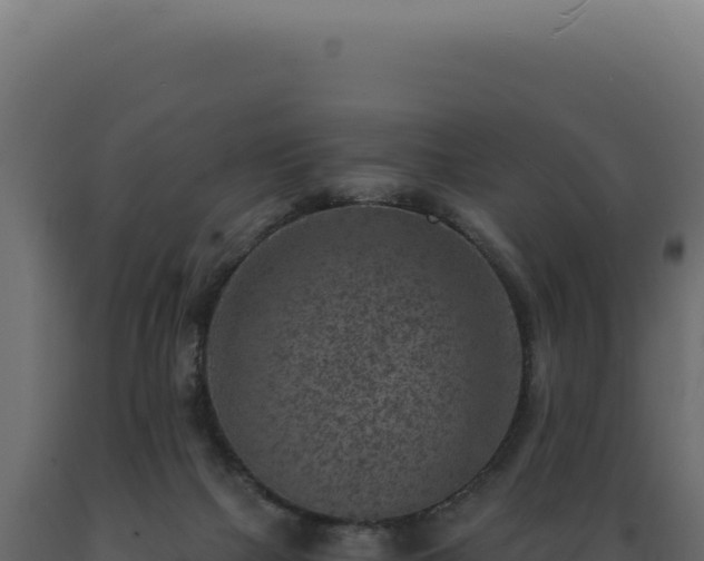 X0000089970073200707061209
