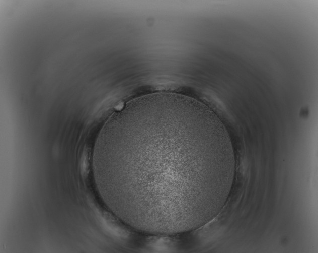 X0000089970074200707061209