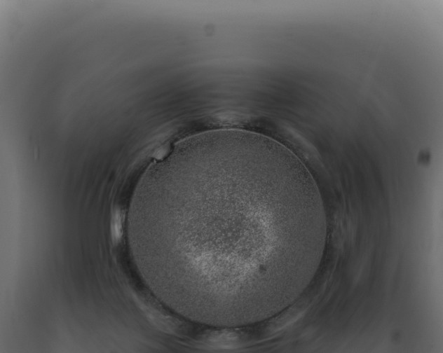 X0000089970075200707061209