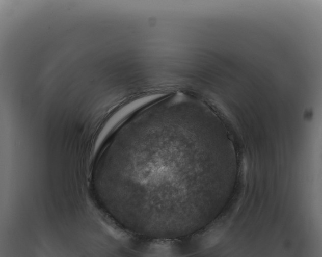 X0000089970076200707061209