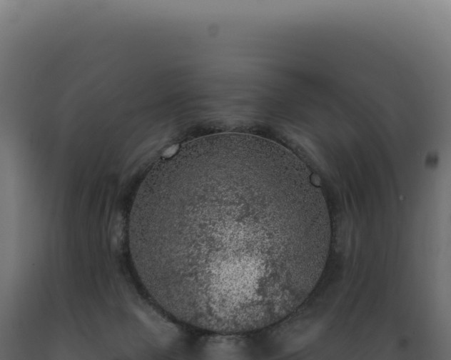 X0000089970077200707061209