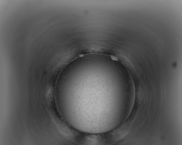 X0000089970079200707061209