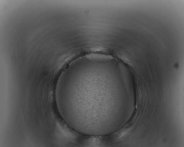 X0000089970080200707061209