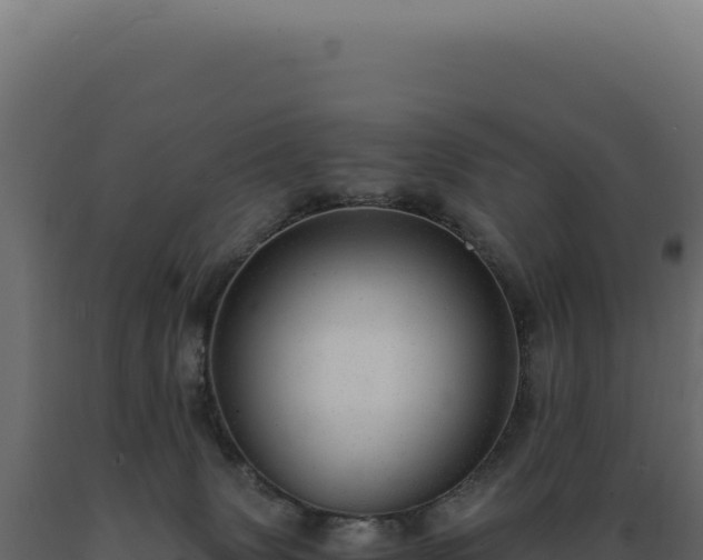 X0000089970083200707061209