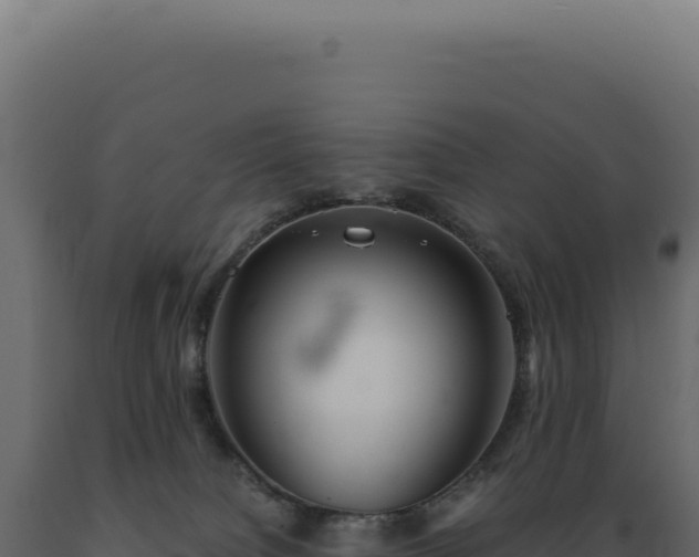 X0000089970084200707061209