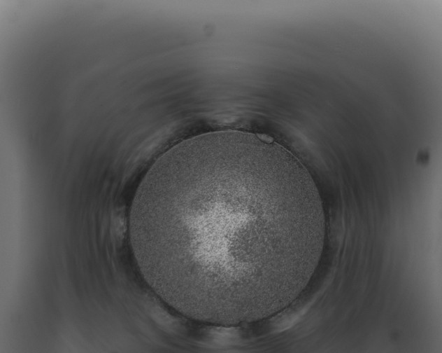 X0000089970085200707061209