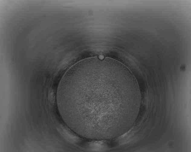 X0000089970086200707061209