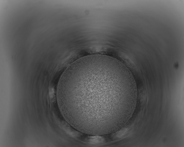X0000089970087200707061209