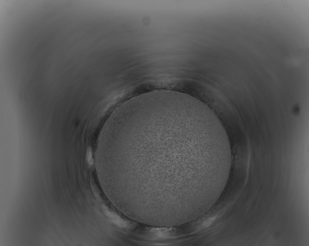 X0000089970089200707061209