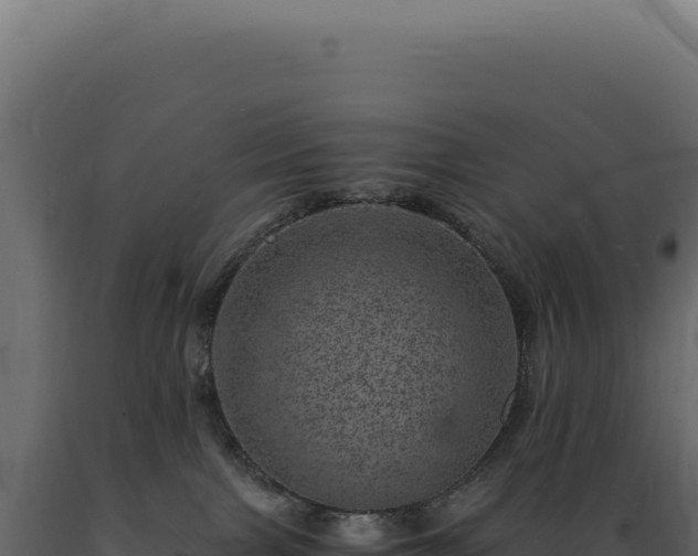 X0000089970091200707061209