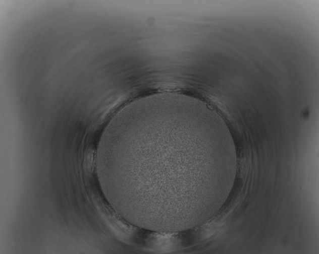X0000089970093200707061209