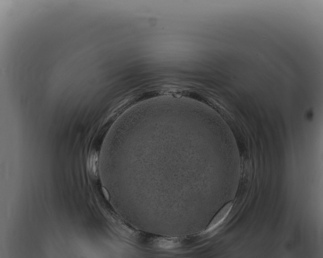X0000089970094200707061209