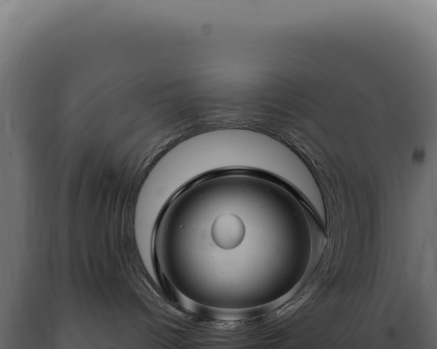 X0000089970096200707061209