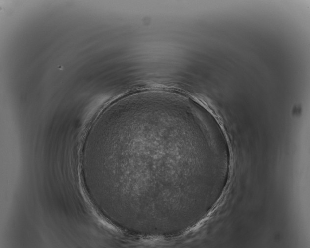 X0000089970097200707061209