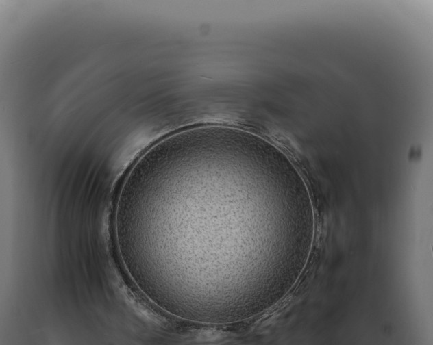 X0000089970098200707061209