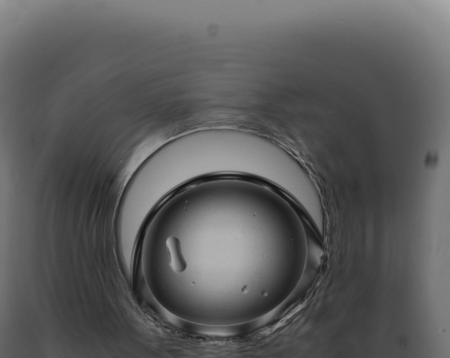 X0000089970099200707061209