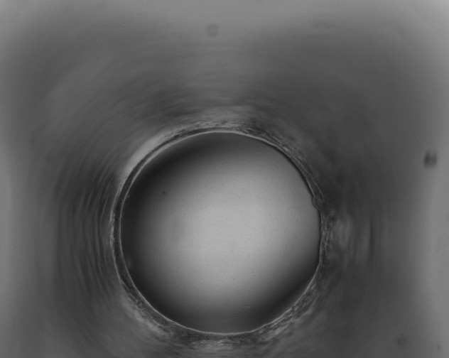 X0000089970100200707061209