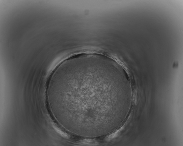 X0000089970101200707061209