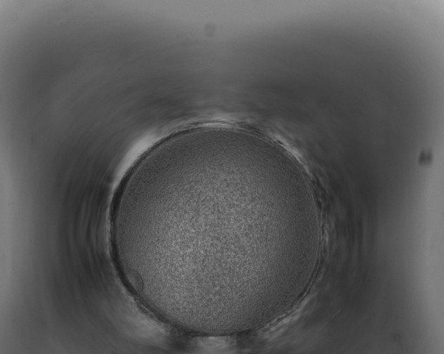 X0000089970102200707061209