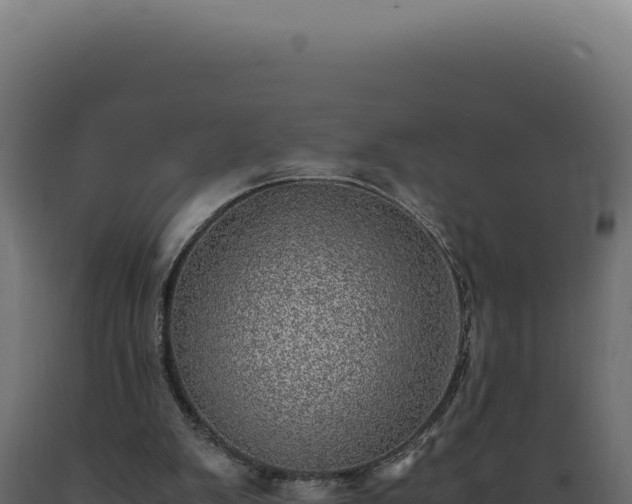 X0000089970103200707061209