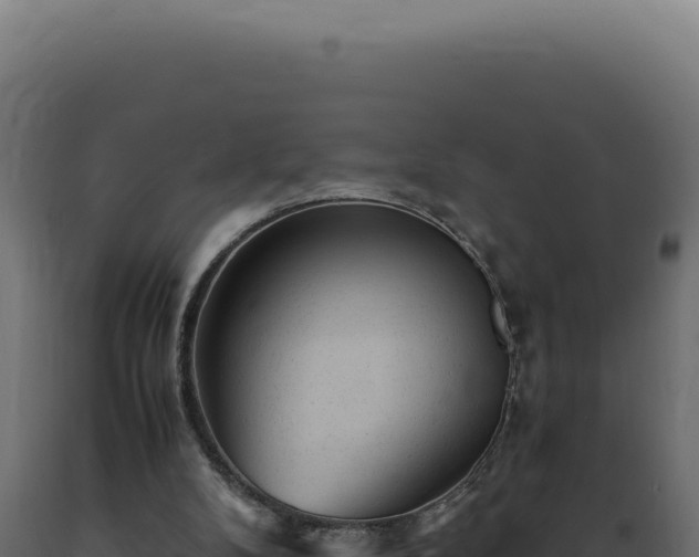 X0000089970104200707061209