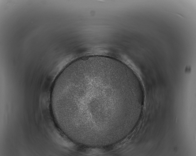 X0000089970107200707061209