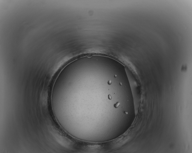 X0000089970108200707061209