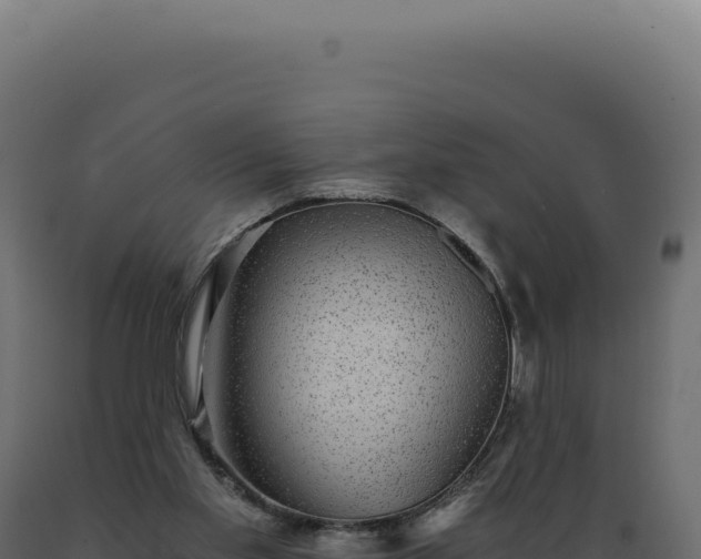 X0000089970109200707061209