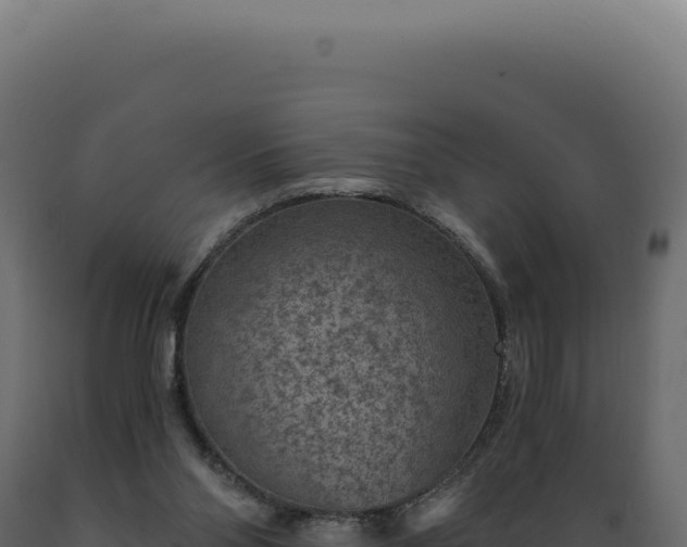 X0000089970110200707061209