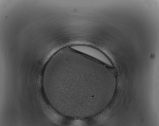 X0000089970111200707061209