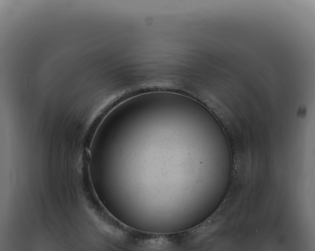 X0000089970112200707061209
